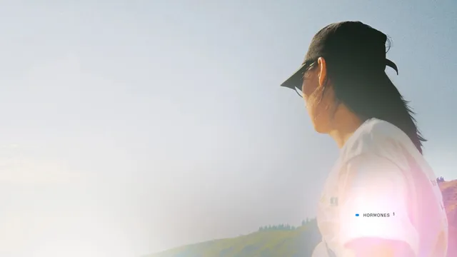 How Lucis Made Security a Default, Not a Tradeoff